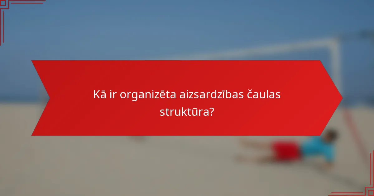 Kā ir organizēta aizsardzības čaulas struktūra?